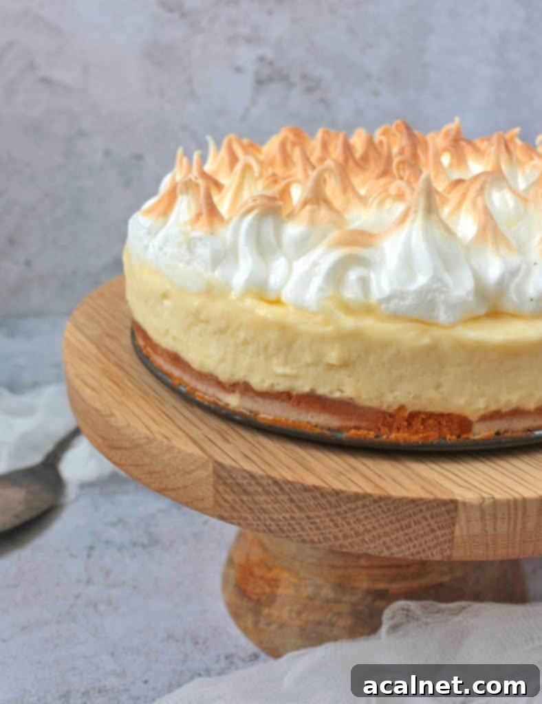 Lemon Mousse Cake with Toasted Meringue - close up