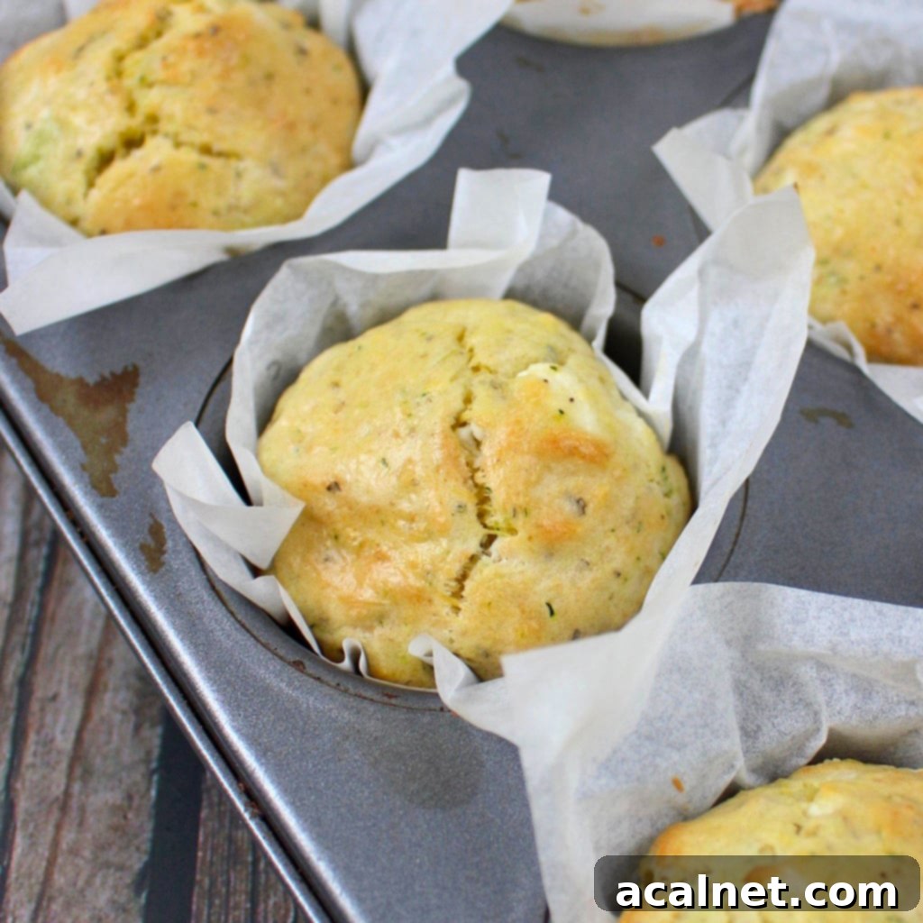 Savory Zucchini and Goat Cheese Muffins 2 Close-up of a golden-brown Savoury Goat Cheese Zucchini Muffin still in its baking tray, showcasing its perfectly puffed top.