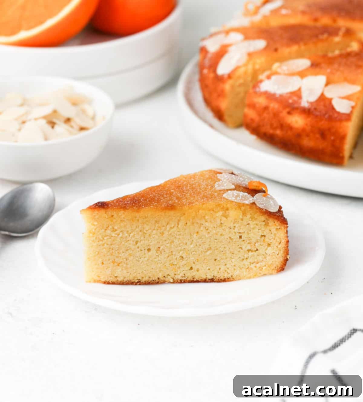 Zesty Gluten Free Almond Orange Cake 6 A perfectly cut slice of the Flourless Almond Orange Cake placed on a small white plate, with the rest of the cake slightly blurred in the background.