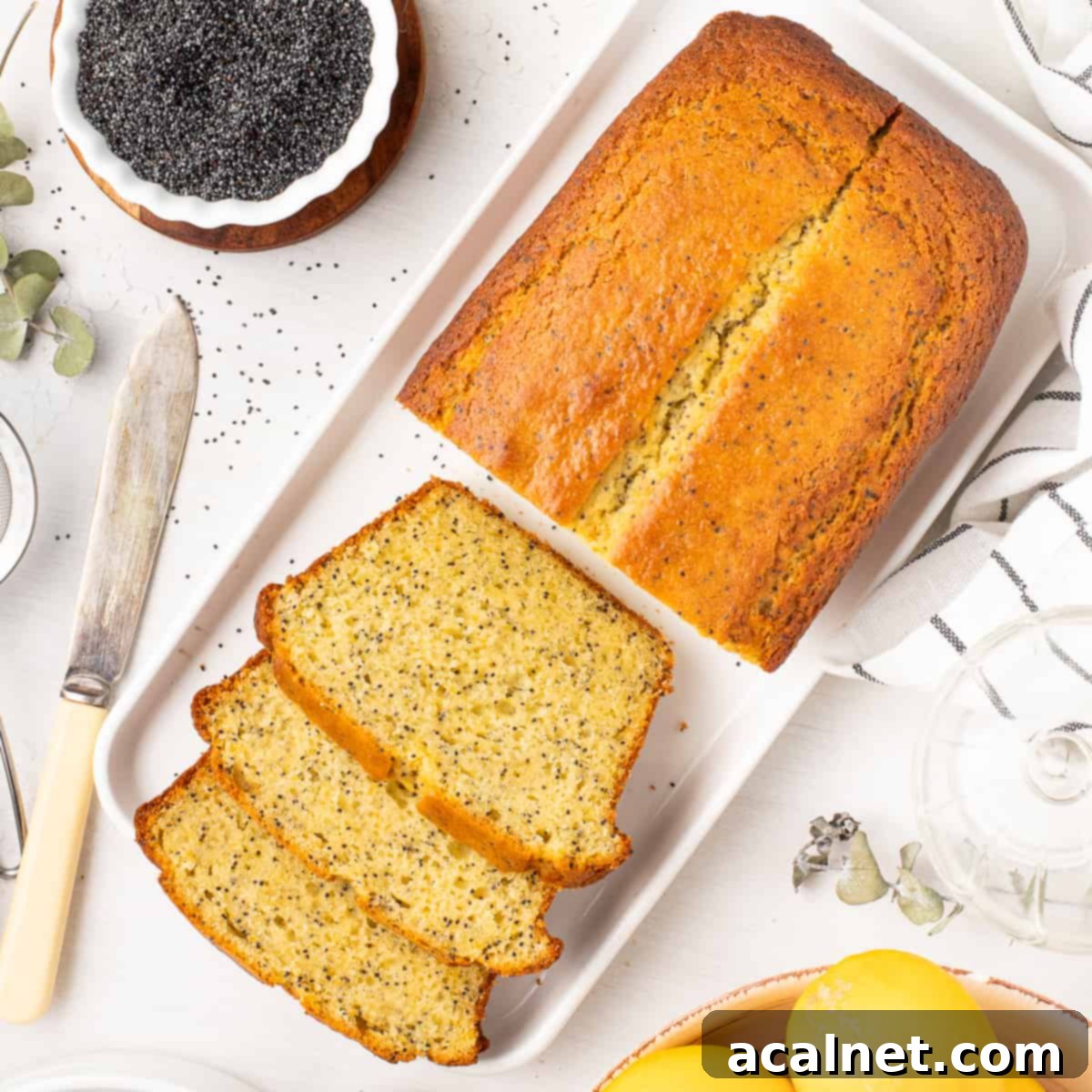 Zesty Lemon Poppy Seed Loaf 2 Loaf cake on a white rectangular plate with 3 slices cut off, showcasing its moist texture and poppy seeds.