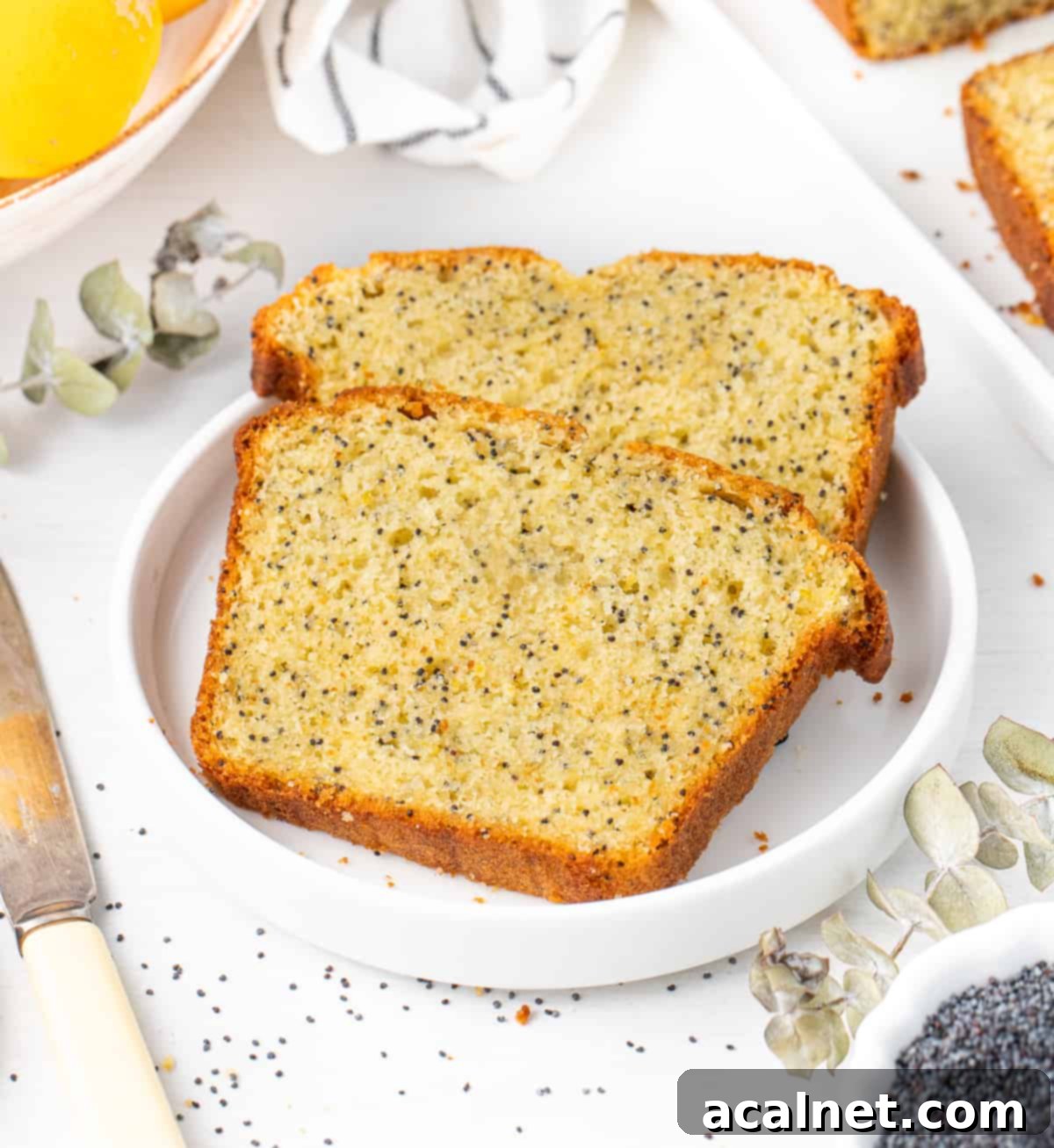 Zesty Lemon Poppy Seed Loaf 8 Two slices of Lemon Poppy Seed Loaf cake on a small white plate, ready to be enjoyed.