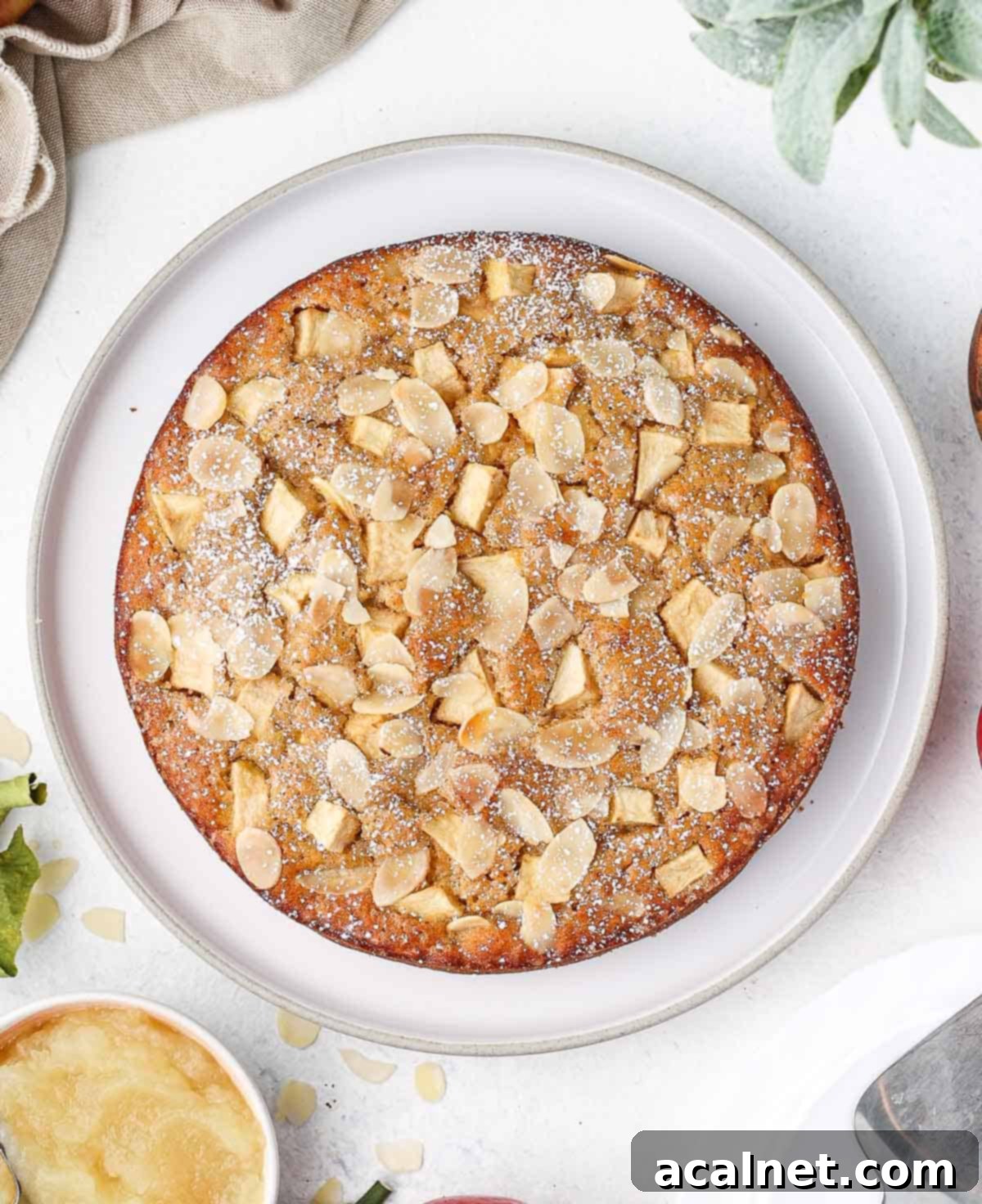 Apple cake seen from above on a large white plate.