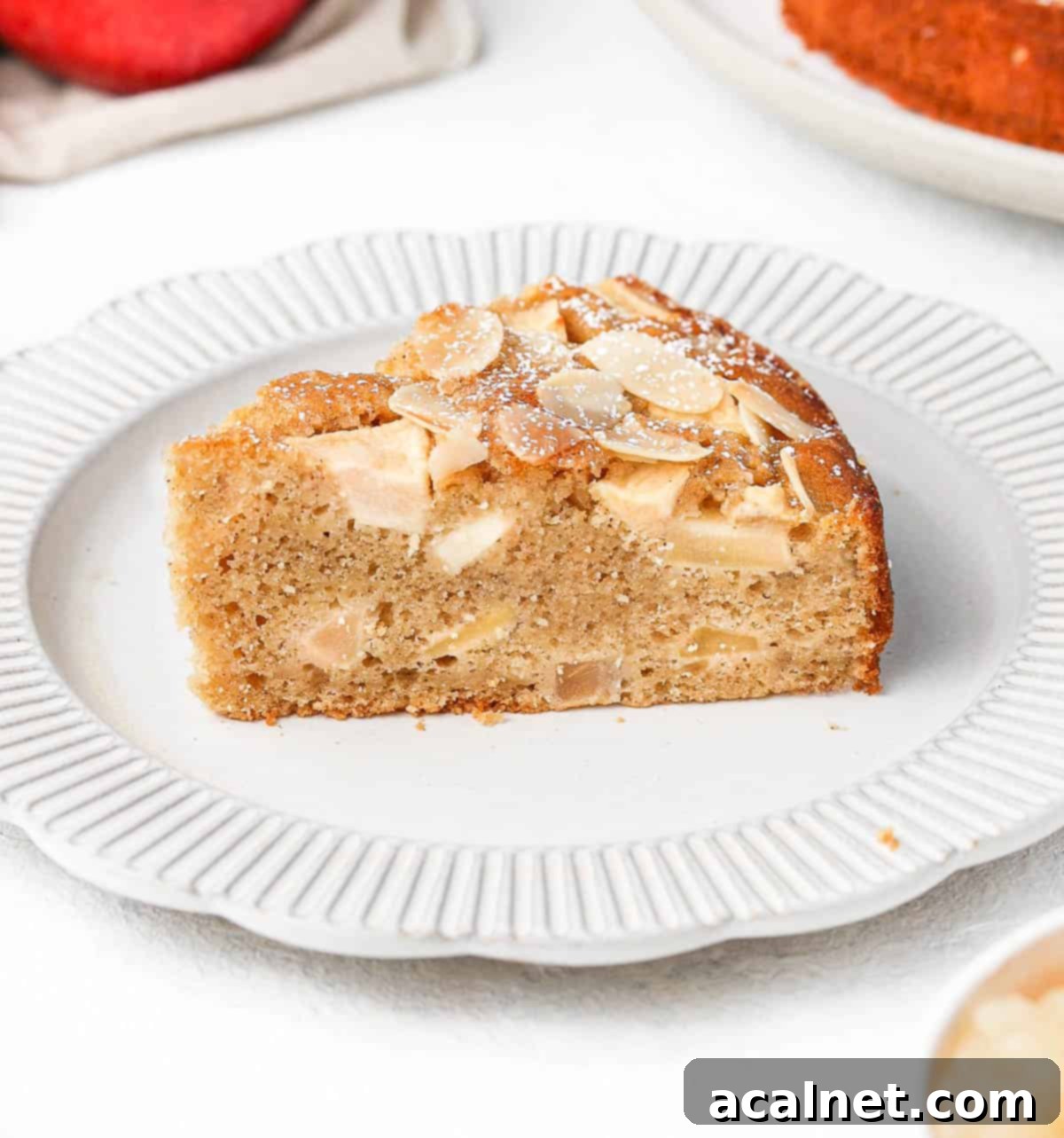 One slice of cake on a small white plate.