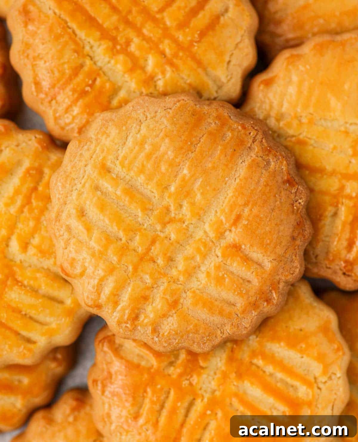 Buttery Breton Cookie Delights 5 Close-up shot of a single Sablé Breton cookie, showing its characteristic cross pattern and delicate crumbly edge.