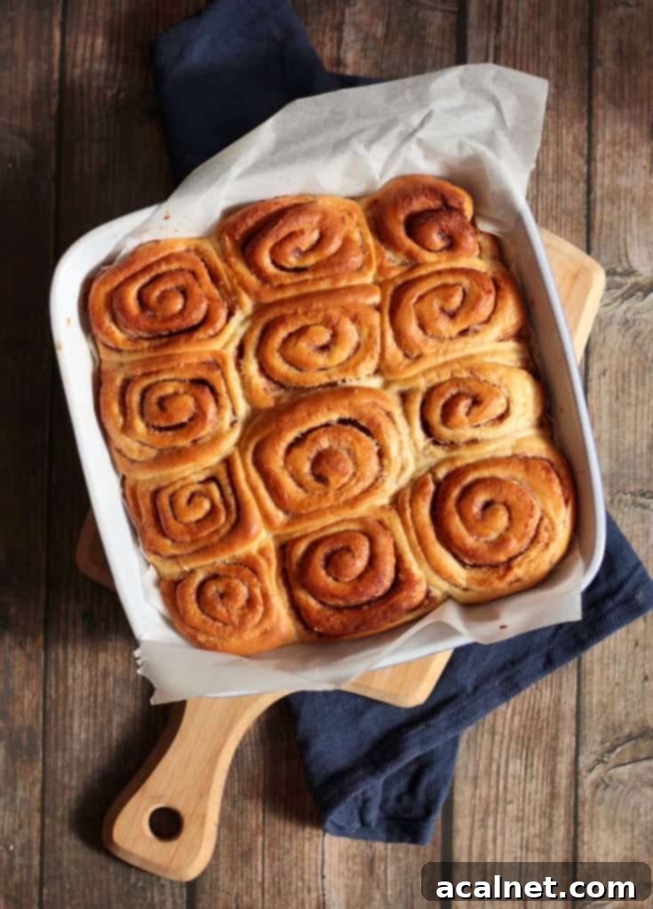 Rolls in the baking pan over a wooden tray from above