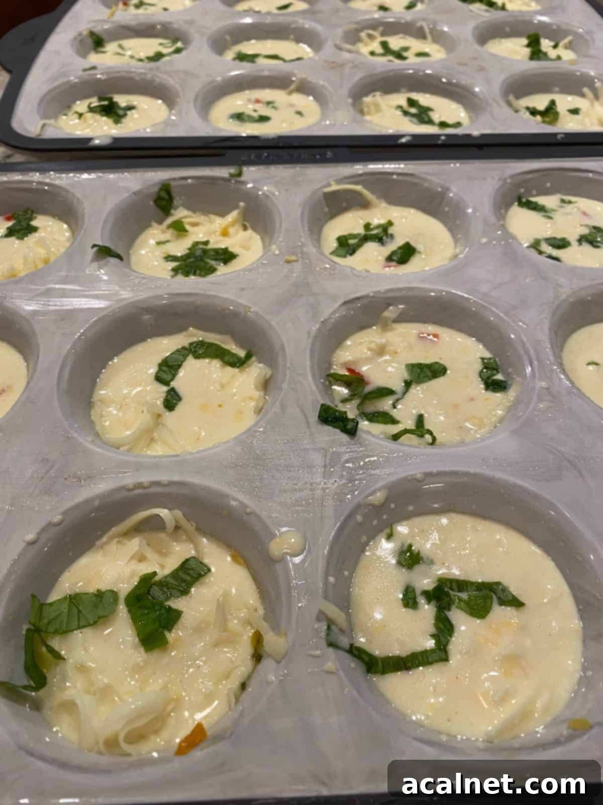Freshly baked egg bites garnished with sprigs of fresh basil on top.