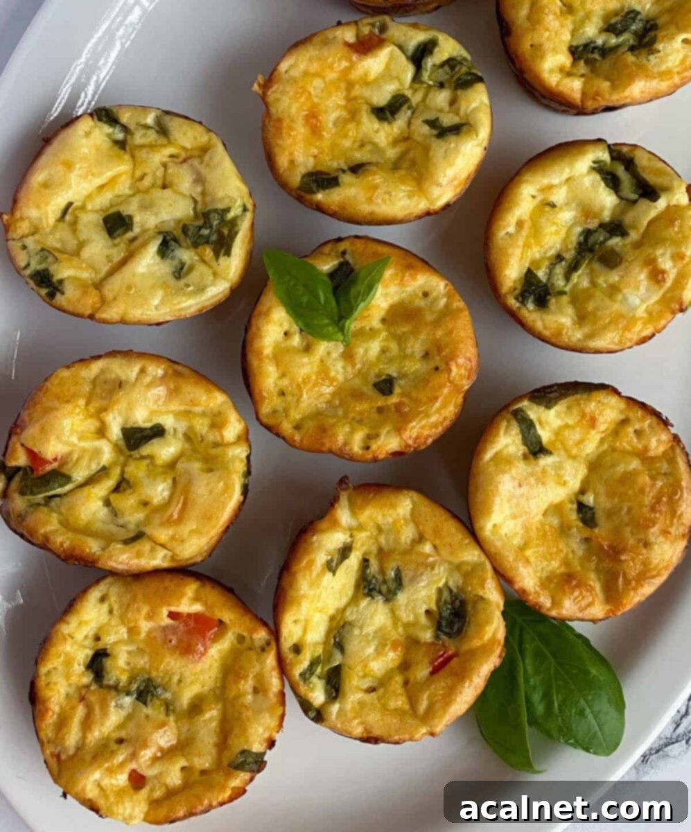 A selection of copycat Starbucks egg bites beautifully arranged on a white plate, ready to be enjoyed.