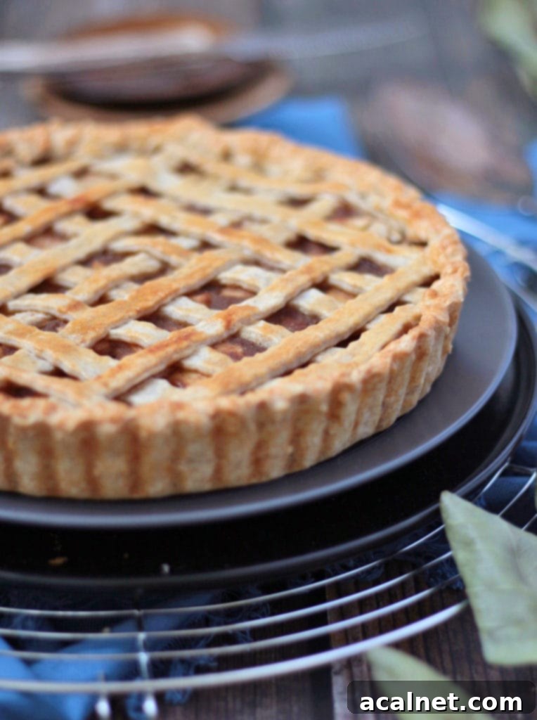 Orchard Fresh Pear Pie 4 Close-up view of the side of a freshly baked pear pie, revealing the flaky crust and bubbling fruit filling.