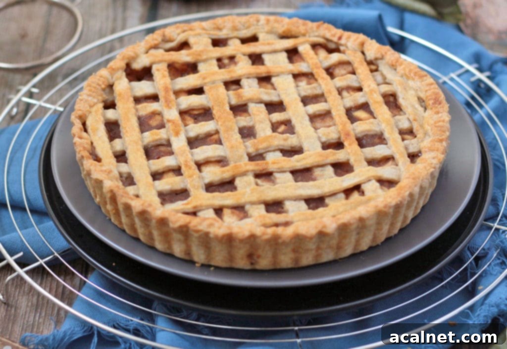 Orchard Fresh Pear Pie 5 Close-up of a rustic pear pie with a lattice top, presented on a gray plate with a metal cooling rack in the background.