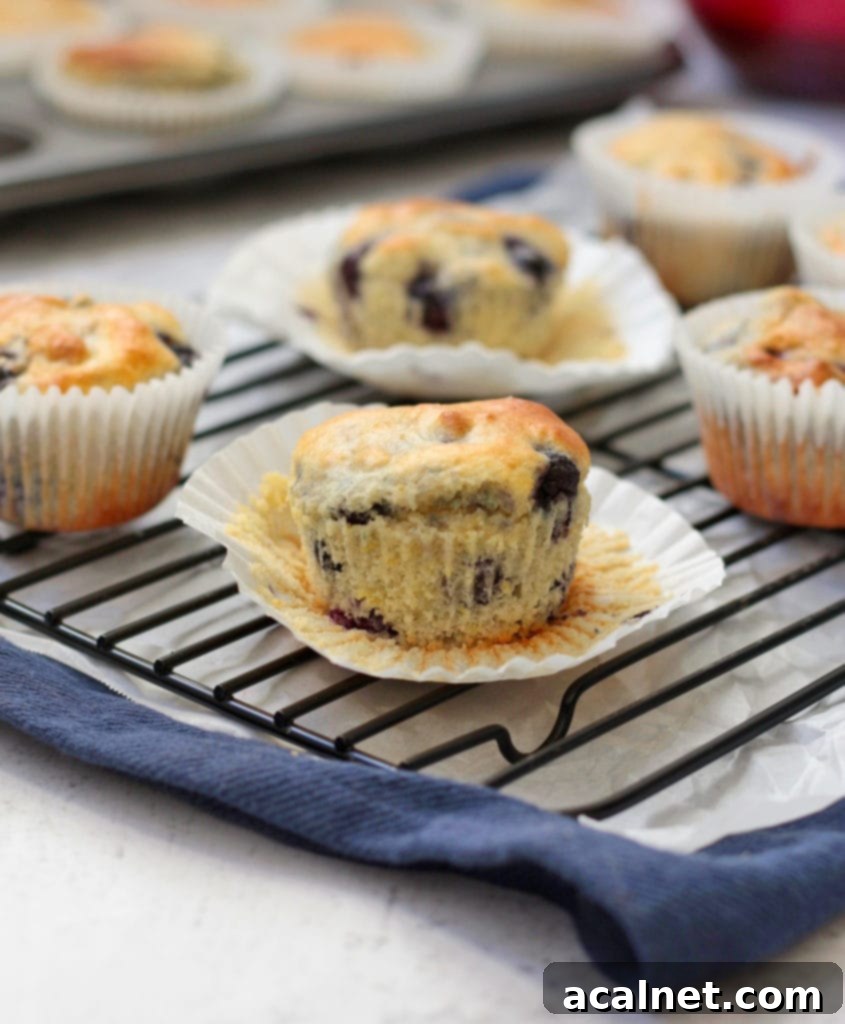Freshly baked lemon blueberry muffins cooling on a wire rack over a blue napkin, ready to be glazed.