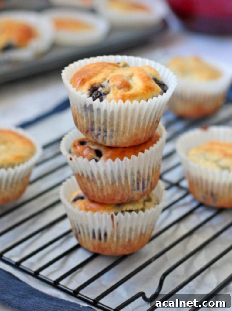 A stack of three golden-brown lemon blueberry muffins, indicating their fluffy texture and perfect rise.
