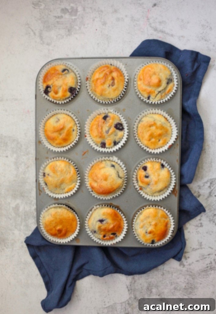 Overhead view of lemon blueberry muffins baked in a muffin pan, nestled in blue paper liners, showcasing their golden tops.