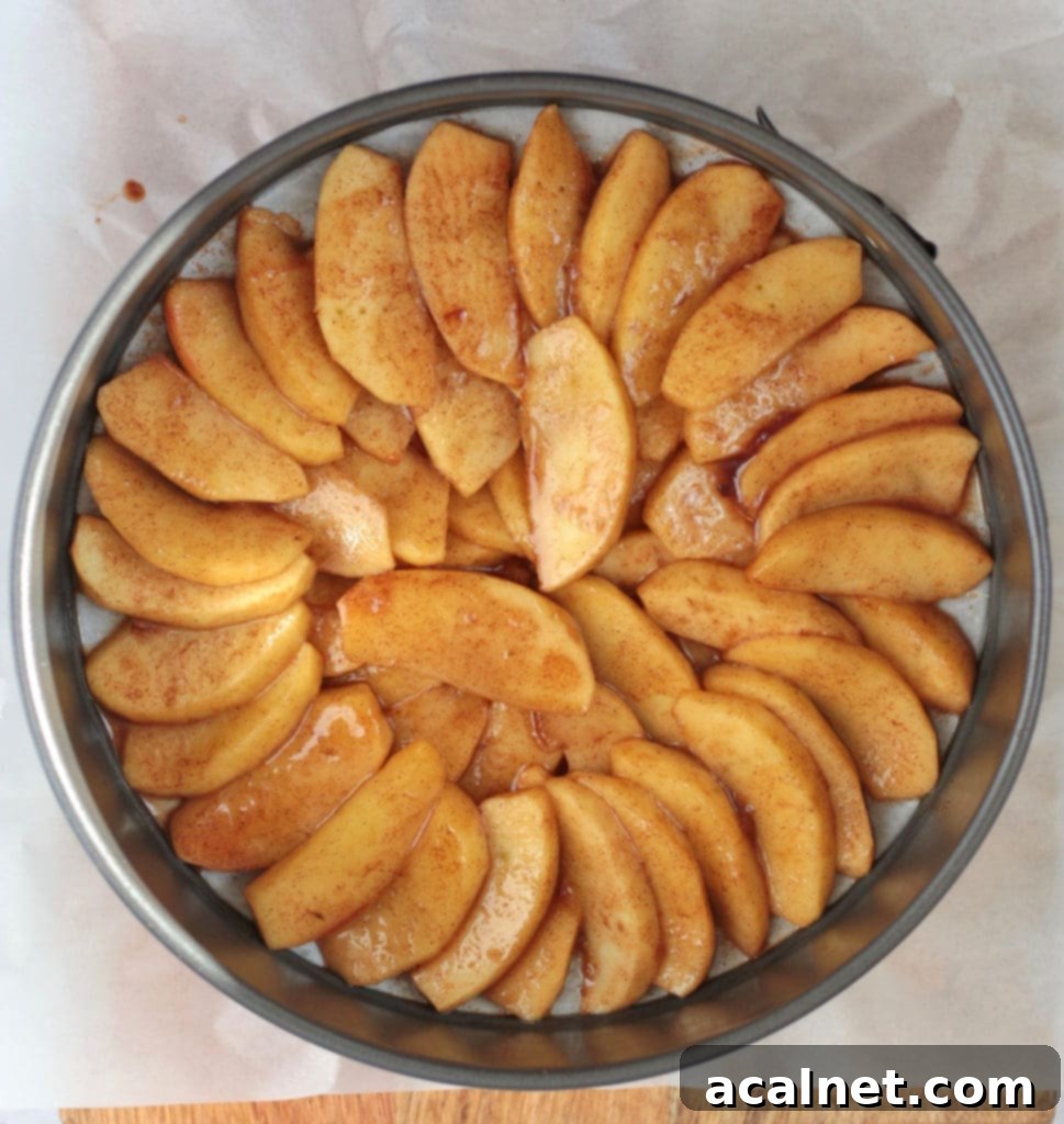 Decadent Caramel Apple Flip Cake 5 A process shot showing how to arrange the perfectly caramelized apple slices at the bottom of a springform cake pan before pouring the cake batter over them.