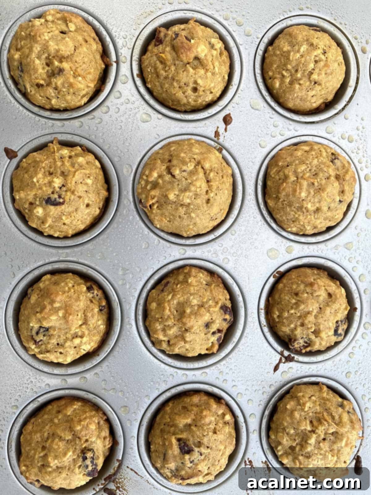 A pan of mini muffins, still in the muffin tin. 