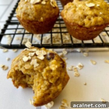 Banana carrot muffins with oats on a cooling rack.