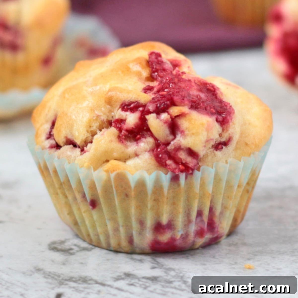 Close up on one raspberry muffin, showing its golden-brown top and speckled interior with raspberries