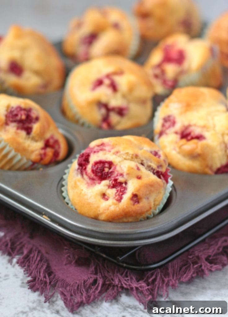 Muffins baking in a muffin pan, golden brown and perfectly risen