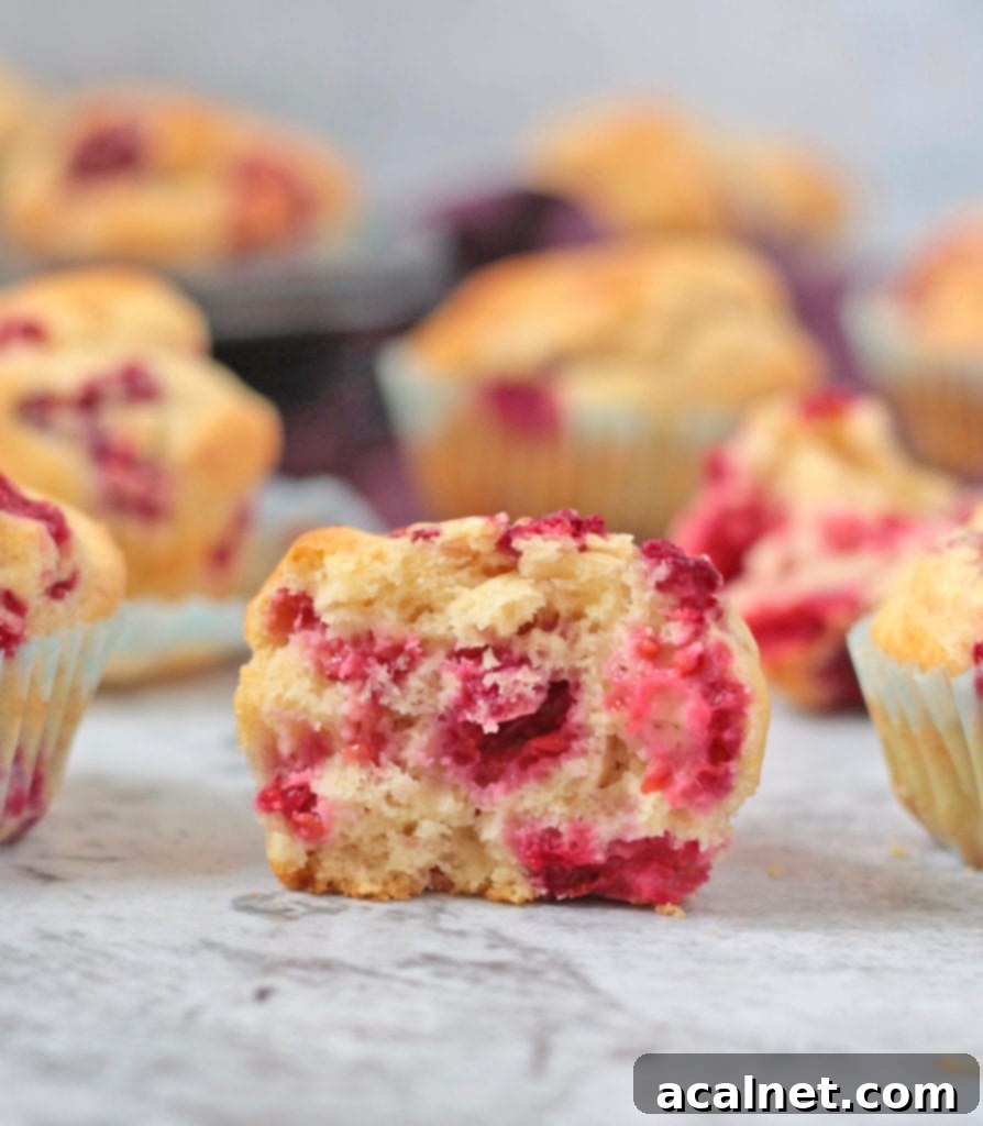 Crumb shot of a Lemon Raspberry Muffin sliced in half, showing fluffy interior and berries