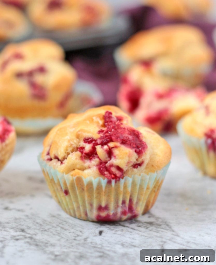 Close-up of a single Lemon Raspberry Muffin on a marble surface