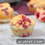 A few freshly baked Raspberry Lemon Muffins, golden brown and perfectly domed