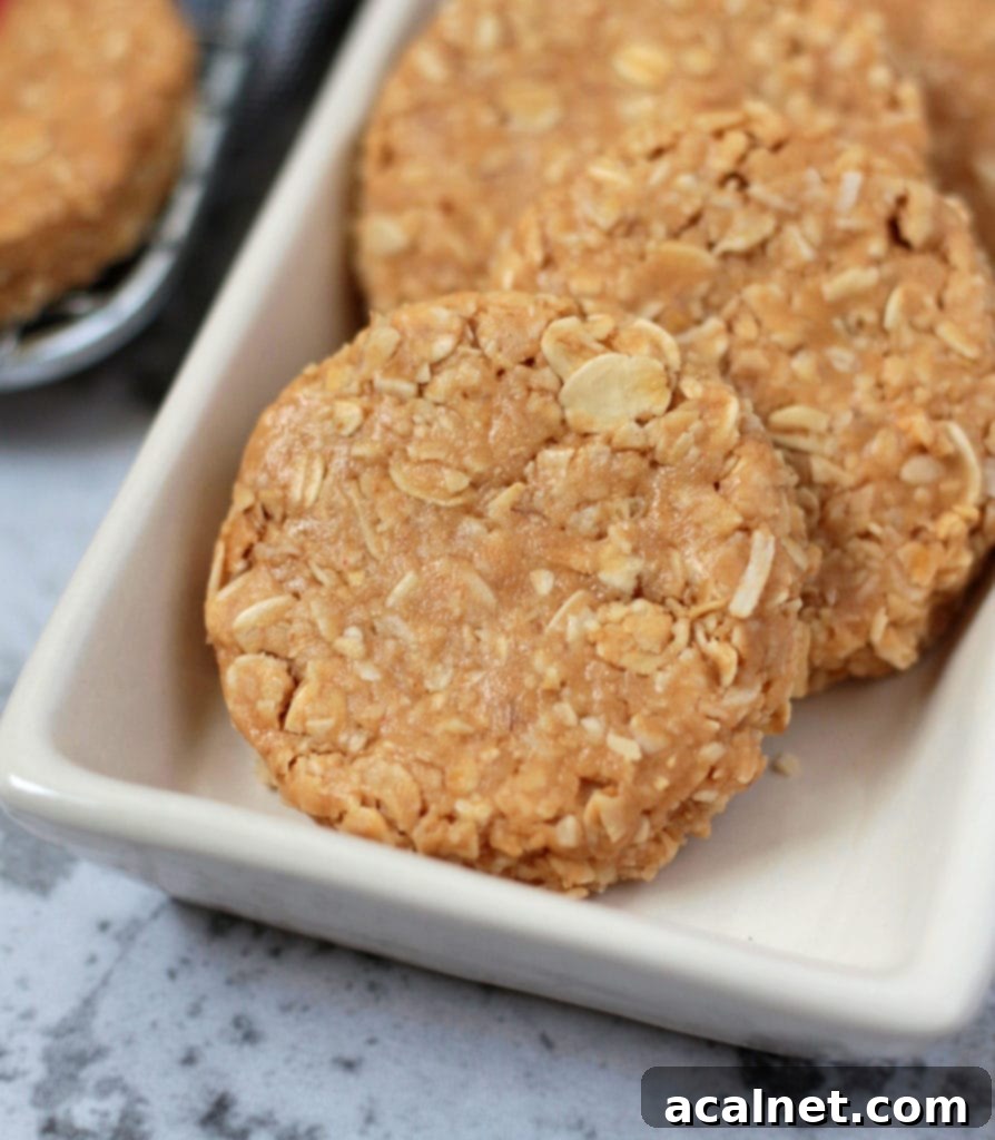 Wholesome No Bake Peanut Butter Oat Cookies 6 Close up on a Peanut Butter Cookie