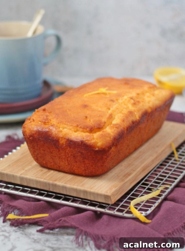 Full Lemon Drizzle Cake, golden brown with a subtle, glistening drizzle