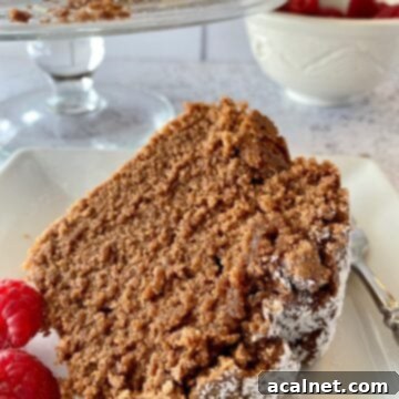 A slice of chocolate pound cake with raspberries on the side.