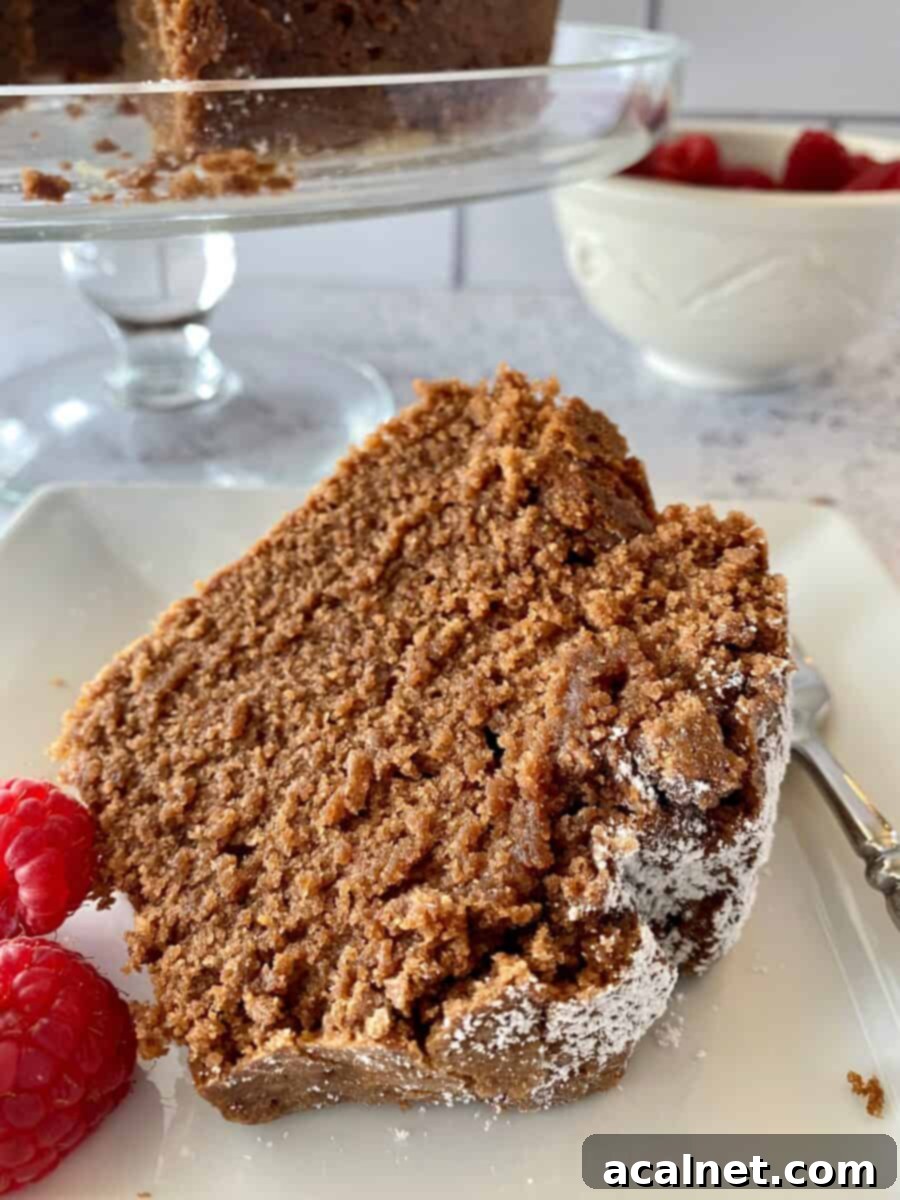 A slice of chocolate pound cake with raspberries on the side.