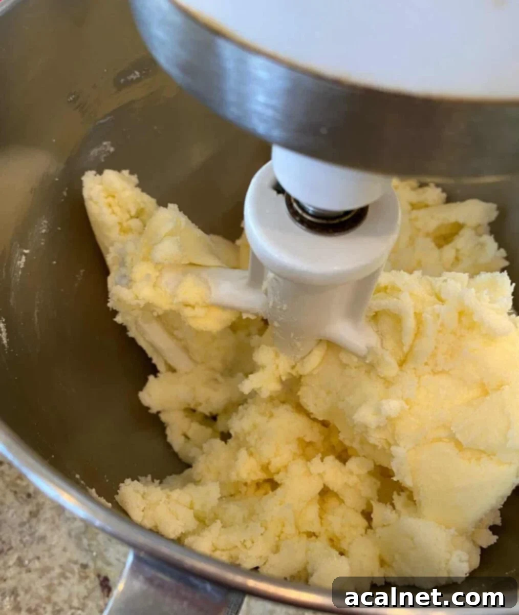 Butter and sugar combined in a mixing bowl.
