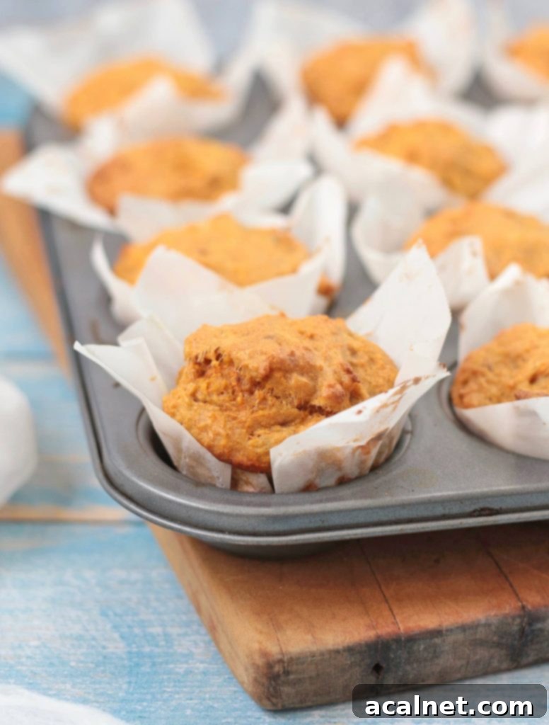 A close-up view of a perfectly baked vegan carrot muffin nestled in its paper liner within a muffin pan, showcasing its golden-brown top and slightly domed appearance.