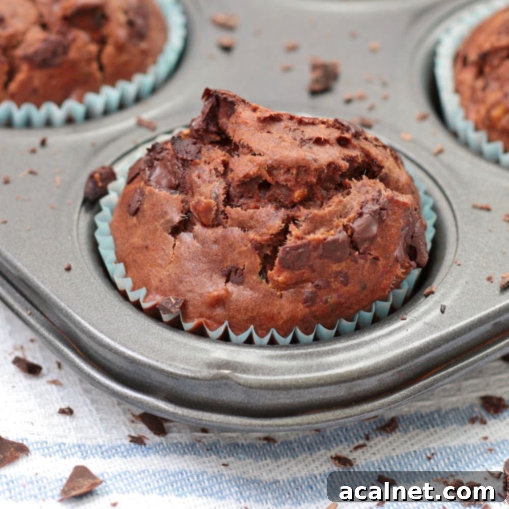 One Chocolate and Zucchini Muffin in the muffin pan
