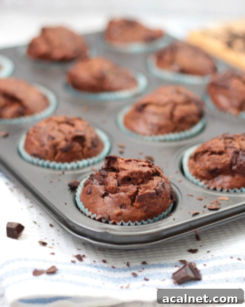 Chocolate Zucchini Muffins in the tin