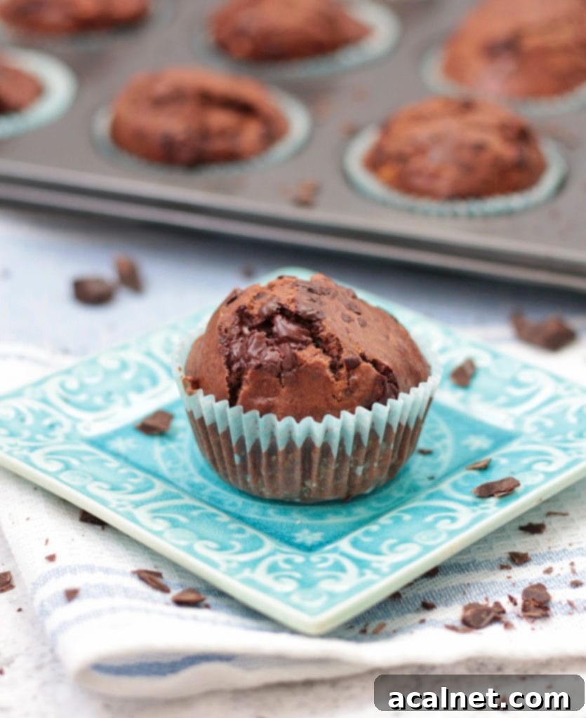 One Muffin over a small square blue plate