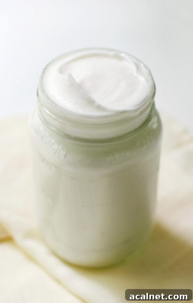 Ultimate Sweet Pancake Topping Guide 24 Sugar-free vegan marshmallow fluff in a bowl, showing its light and airy texture.