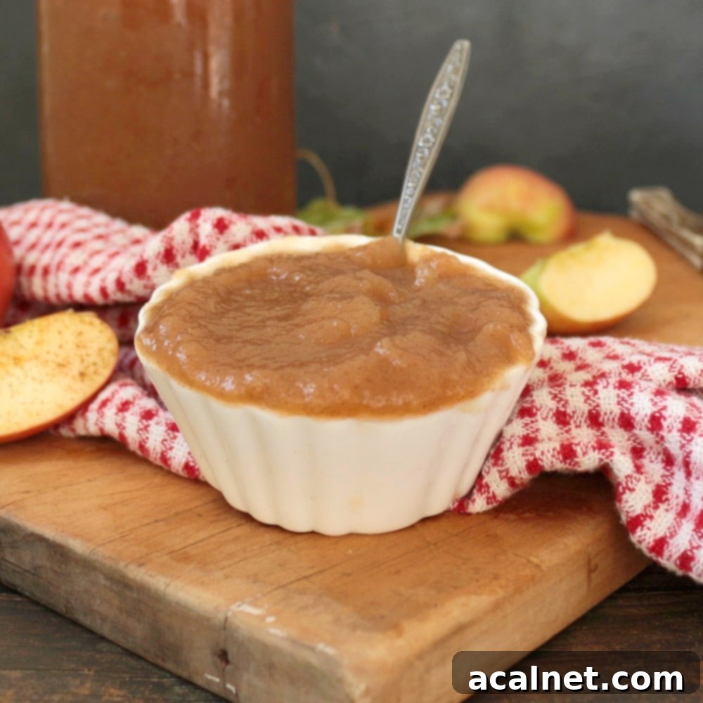 Ultimate Sweet Pancake Topping Guide 7 Homemade Applesauce in a small white cup, ready to be served.