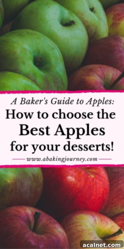 A baker's guide to apples, showcasing various apple types and their uses in baking