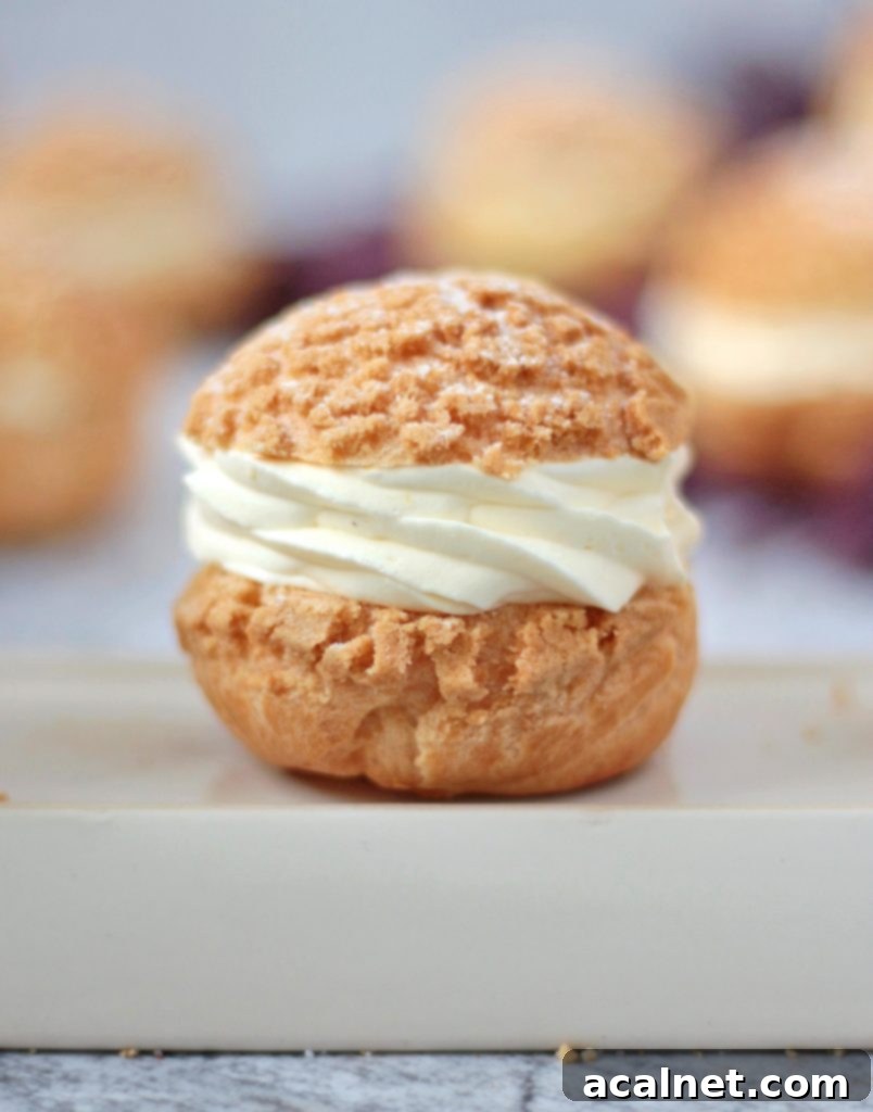 One Choux a la Creme over a white tray
