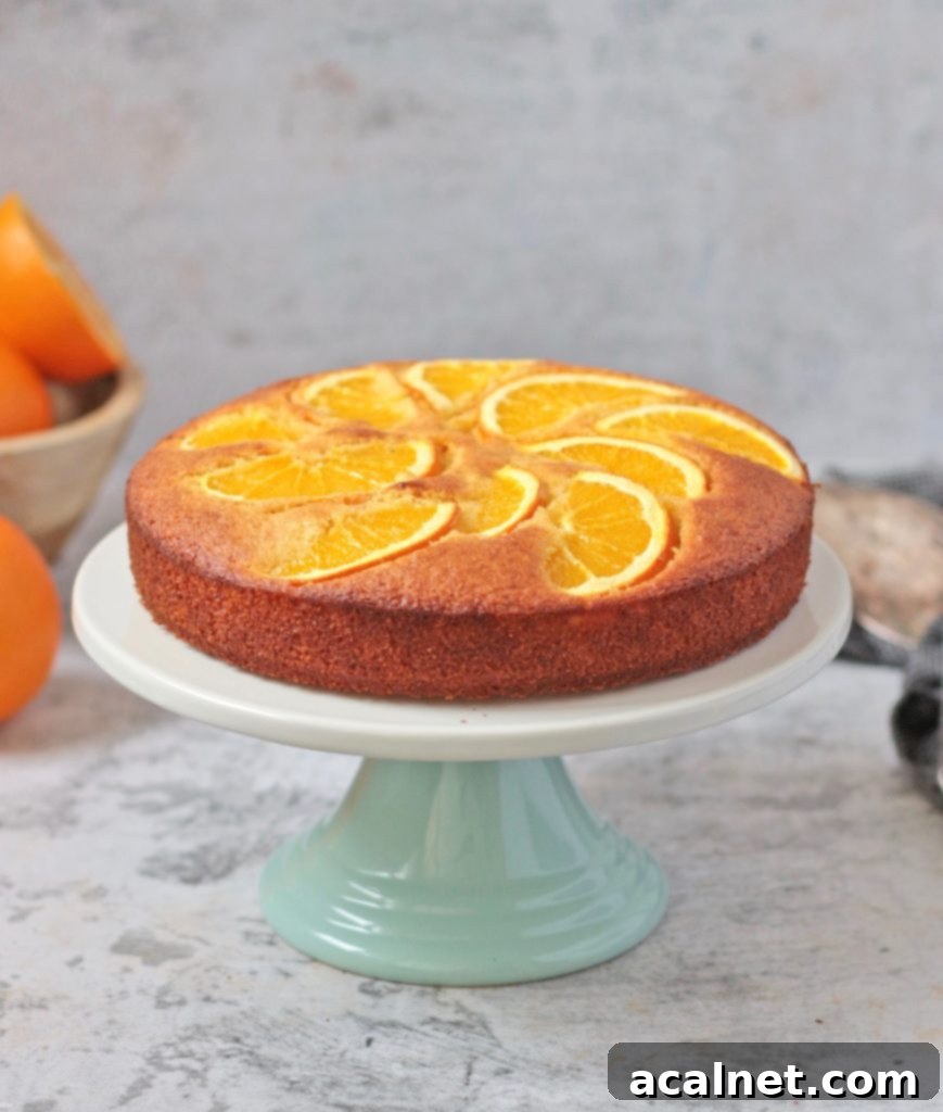 Orange Semolina Cake on a cake stand