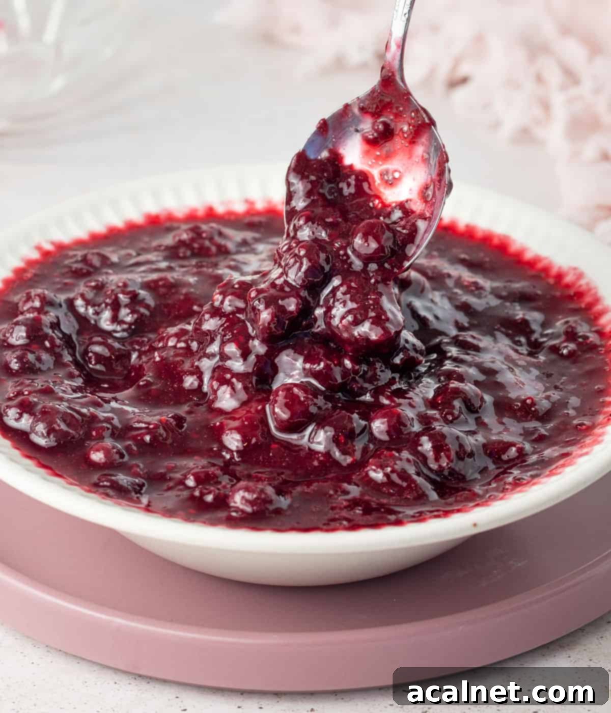 Close up on the compote dripping from a silver spoon into a bowl.