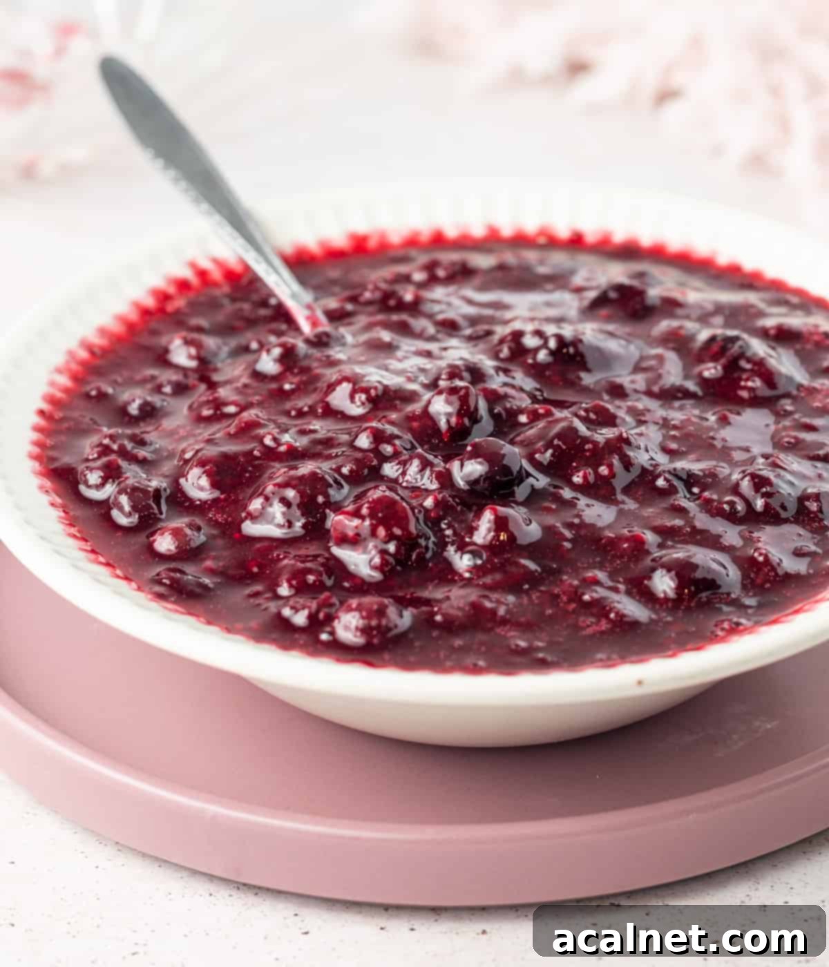 Close up on the compote inside a white bowl with a silver spoon.