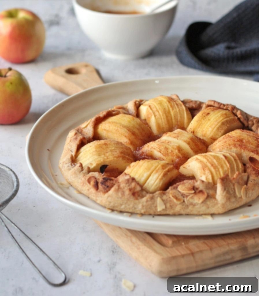 Side view of a freshly baked apple galette on a white plate, showcasing its golden, rustic crust and tender apple filling ready to be served.