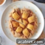 Flat lay of a beautifully baked Easy Apple Galette with Applesauce, showcasing the golden crust and apple filling.