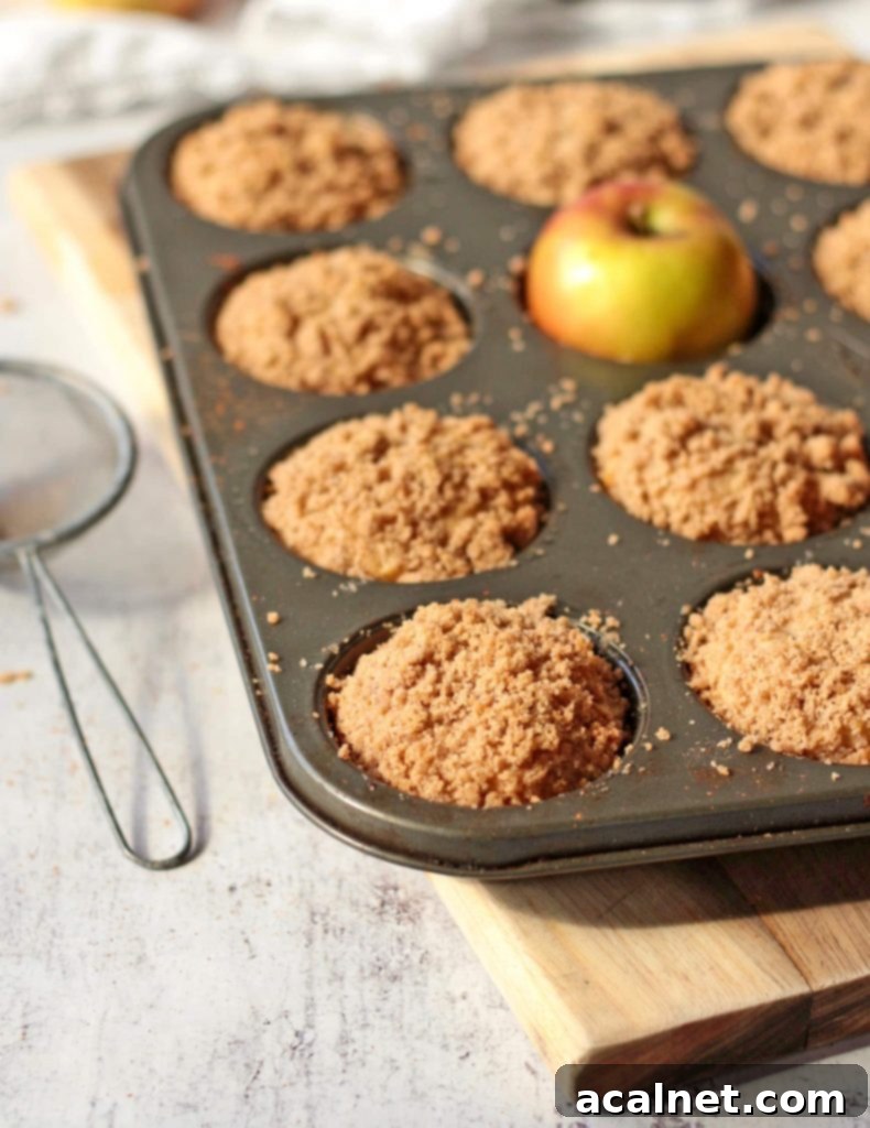 Heavenly Apple Cinnamon Streusel Muffins 5 Close-up of baked apple cinnamon muffins in the pan, highlighting the golden streusel topping.