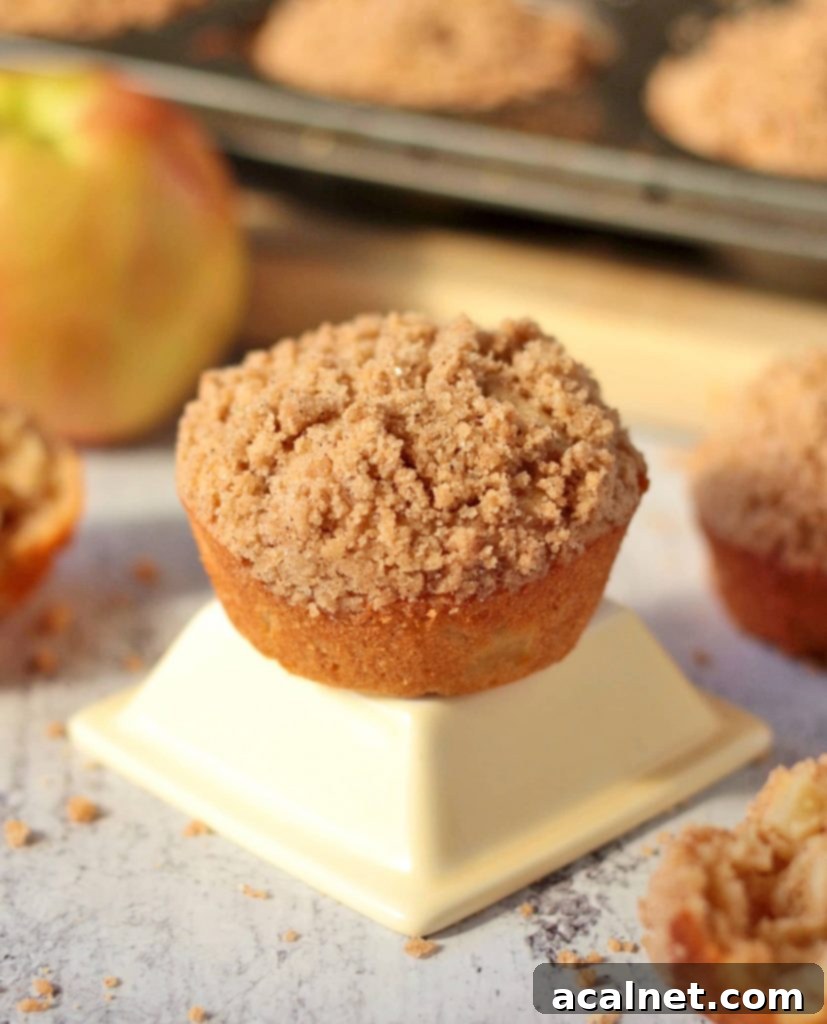 Heavenly Apple Cinnamon Streusel Muffins 6 Close-up on a perfectly baked apple cinnamon muffin with a golden streusel topping, highlighting its moist crumb.
