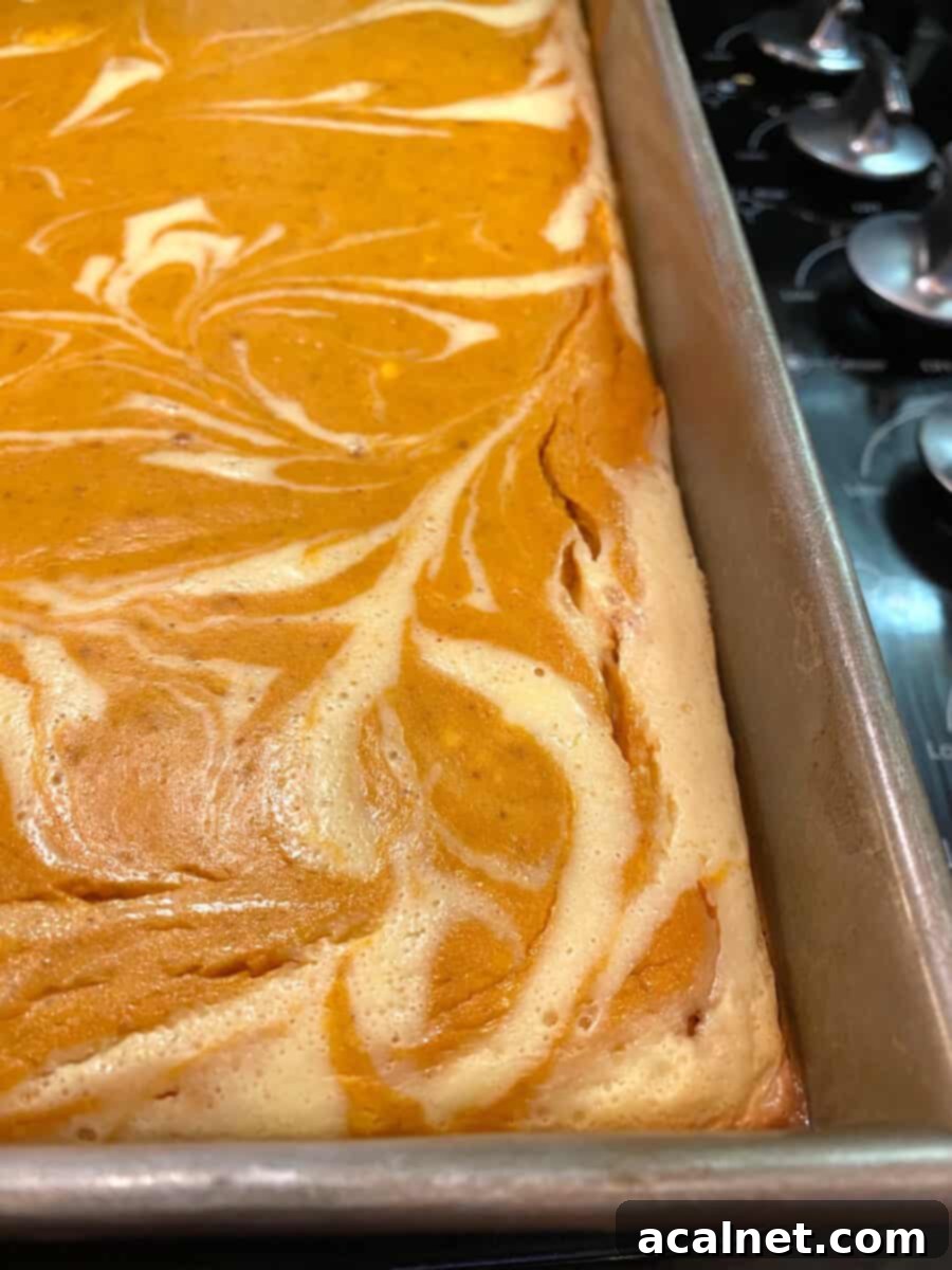 Spiced Pumpkin Swirl Cheesecake Bars 11 A full pan of baked pumpkin cheesecake bars, with slight cracking around the edges indicating they are perfectly set.