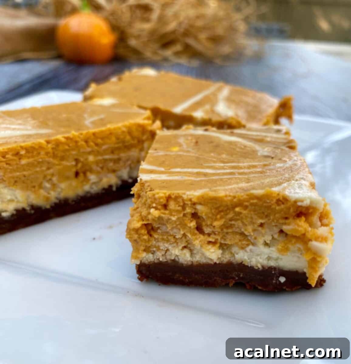 Spiced Pumpkin Swirl Cheesecake Bars 6 Three generous portions of pumpkin cheesecake bars beautifully arranged on a white plate, with a miniature pumpkin and dried straw in the background, creating a festive autumn scene.