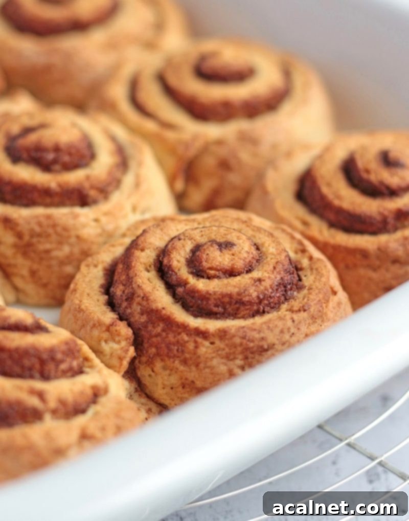 A mouth-watering close-up of a single baked no-yeast cinnamon roll, showing its distinct layers of dough and cinnamon-sugar filling.