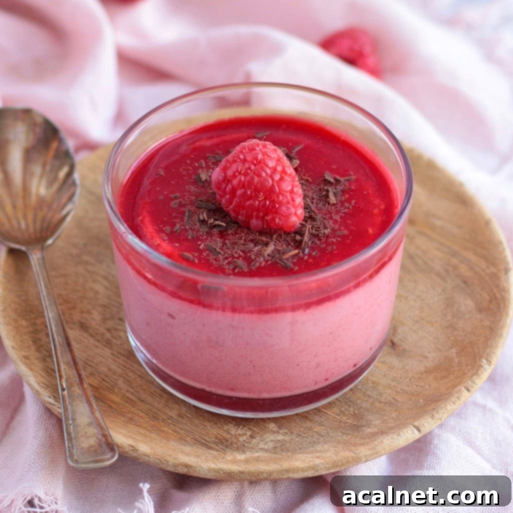 Luscious Raspberry Mousse 2 Close up on a Mousse Cup with chocolate shavings and a fresh raspberry, placed over a wooden plate. This light and fresh raspberry mousse is gluten-free and dairy-free.