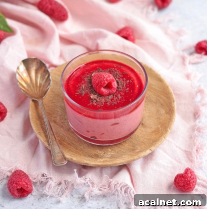 Luscious Raspberry Mousse 4 Close up on the raspberry mousse topped with a single fresh raspberry, highlighting its delicate texture.