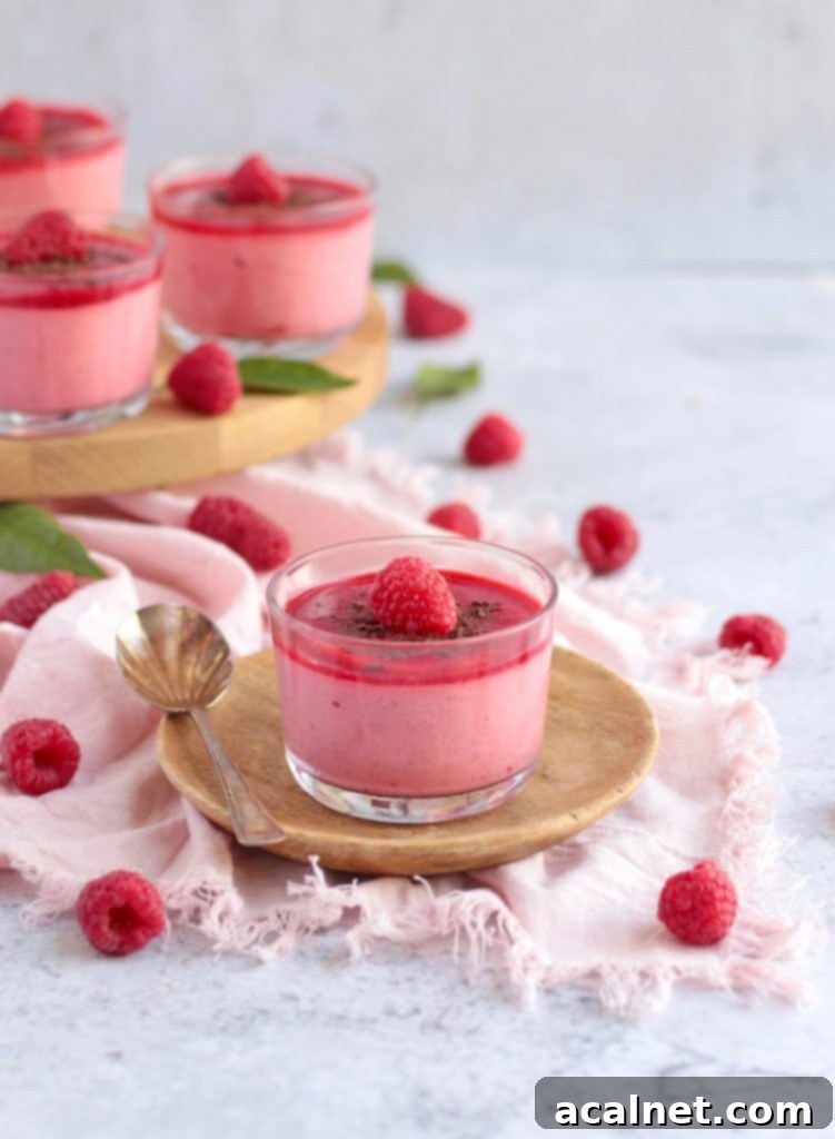 Luscious Raspberry Mousse 7 One Raspberry Mousse Cup on a plate surrounded by fresh raspberries, ready to be served.